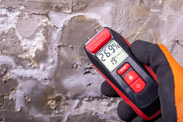 Best Mold Testing  in Chillum, MD